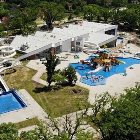 Apartman Buba Palić エクステリア 写真