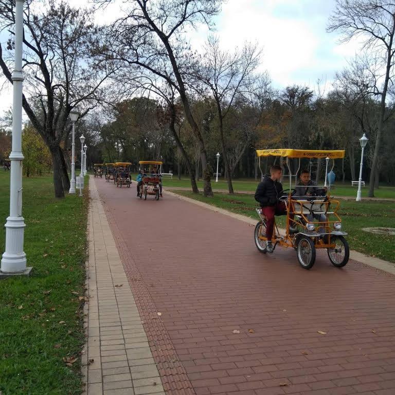 Apartman Buba Palić エクステリア 写真