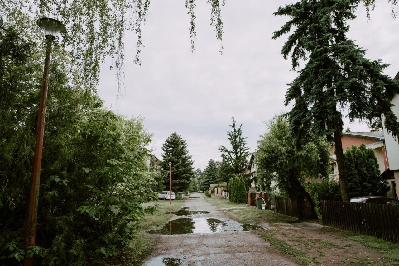 Apartman Buba Palić エクステリア 写真