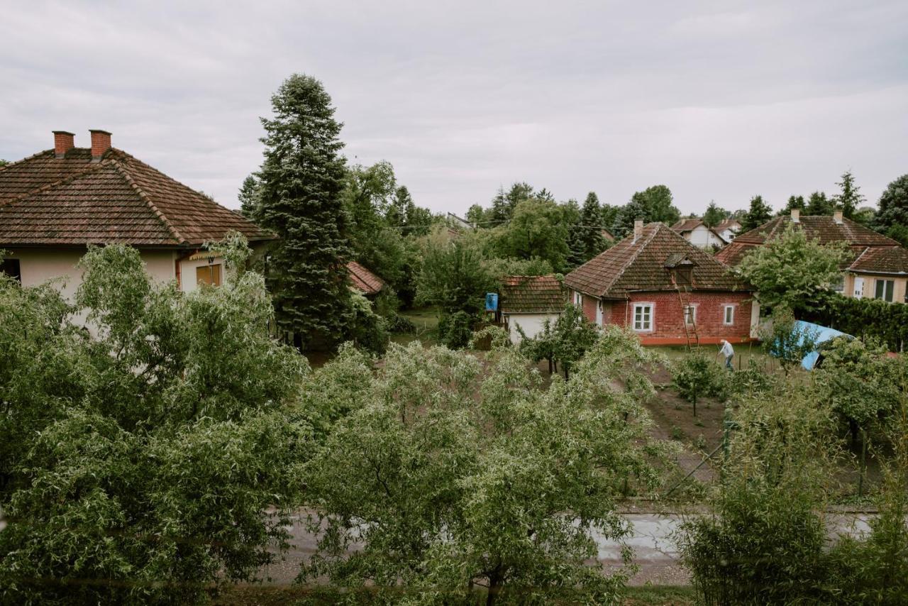 Apartman Buba Palić エクステリア 写真