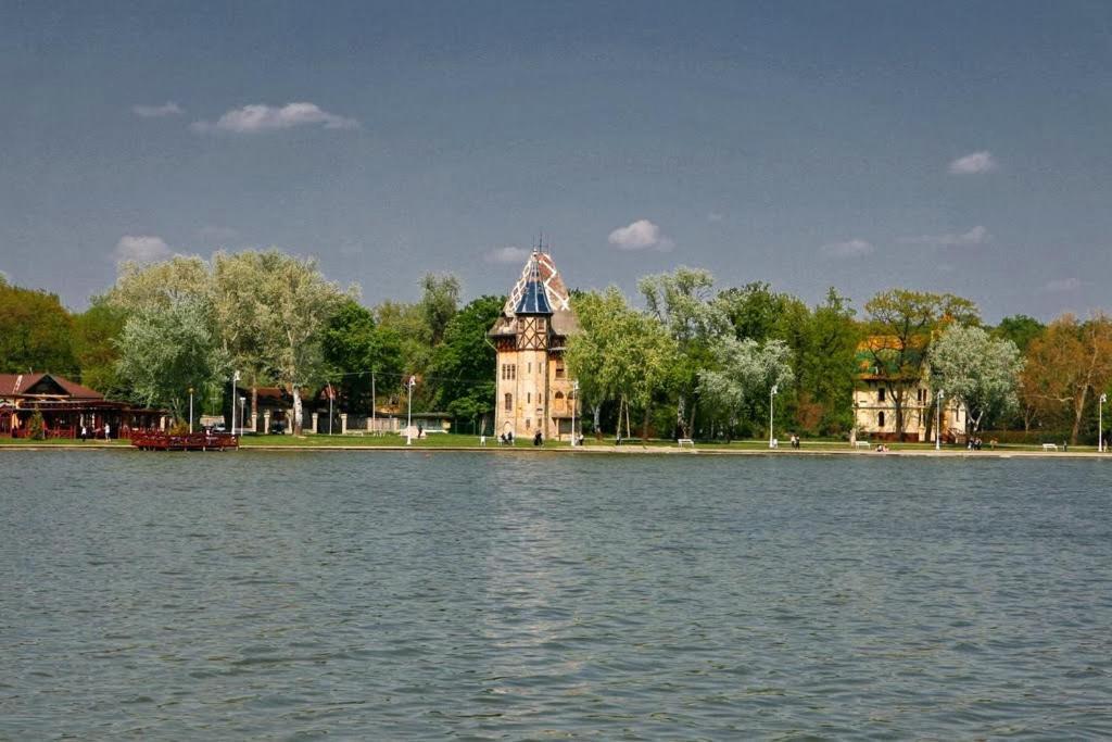 Apartman Buba Palić エクステリア 写真